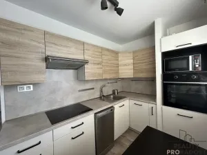 Pronájem bytu 1+1, Hodonín, Brandlova, 39 m2
