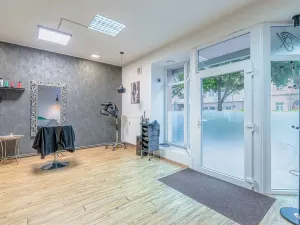 Pronájem komerční nemovitosti, Prostějov, Wolkerova, 62 m2