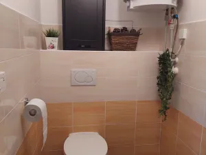 Pronájem bytu 3+kk, Jihlava - Horní Kosov, Buková, 78 m2