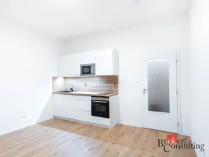 Pronájem bytu 1+kk, Ostrava - Přívoz, Palackého, 22 m2