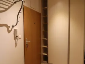 Pronájem bytu 1+kk, Brno - Husovice, Netušilova, 36 m2