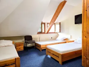 Prodej ubytování, Třinec, Husova, 360 m2