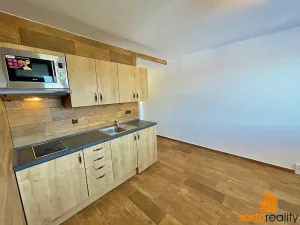 Pronájem bytu 1+1, Ústí nad Labem, Zahradní, 33 m2