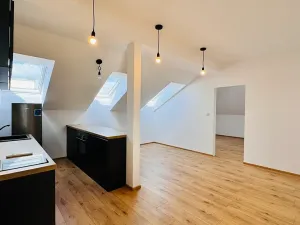 Pronájem bytu 2+kk, Brno, Francouzská, 57 m2