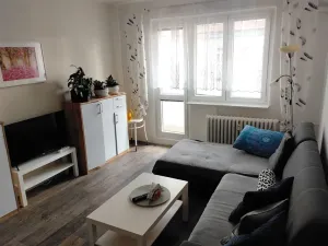 Pronájem bytu 1+1, Slaný, Plynárenská, 35 m2