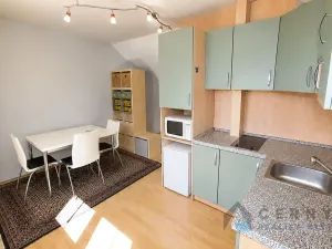 Prodej bytu 1+kk, Liberec, U Sadu, 29 m2