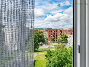 Prodej bytu 2+1, Praha - Karlín, Nekvasilova, 42 m2