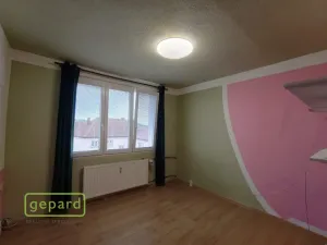 Pronájem bytu 1+kk, Bor, Borská, 20 m2