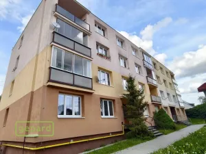 Pronájem bytu 1+kk, Bor, Borská, 20 m2