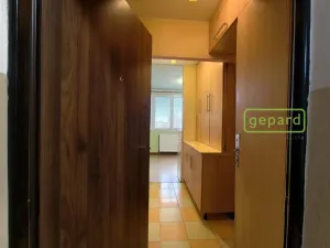 Prodej bytu 1+kk, Bor, Borská, 20 m2