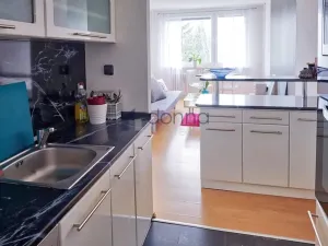 Pronájem bytu 2+kk, Praha, Nechvílova, 54 m2