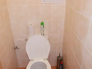 Pronájem bytu 2+1, Pardubice - Bílé Předměstí, Holubova, 62 m2