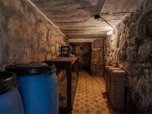 Prodej chaty, Choceň, 60 m2