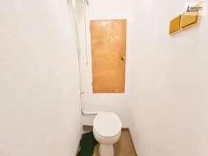 Prodej bytu 1+1, Příbram - Příbram VIII, Čechovská, 56 m2