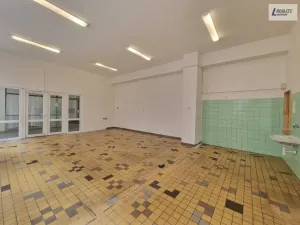 Pronájem komerční nemovitosti, Příbram - Příbram VI-Březové Hory, K Podlesí, 90 m2