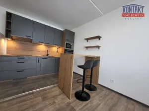 Pronájem bytu 2+kk, České Budějovice, Prachatická, 36 m2
