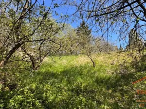 Prodej rodinného domu, Skuhrov nad Bělou, 46 m2