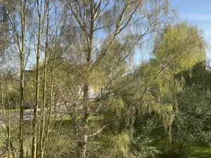 Prodej bytu 3+1, Hronov, Hostovského, 70 m2