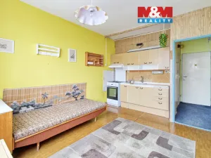 Prodej bytu 1+1, Litvínov - Horní Litvínov, Čapkova, 36 m2