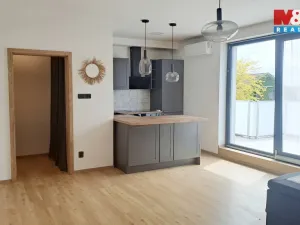 Pronájem bytu 2+kk, Benátky nad Jizerou, Václava Černého, 56 m2