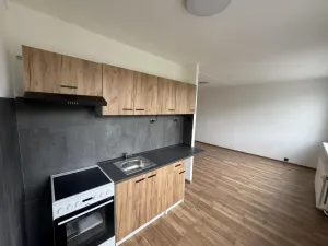Pronájem bytu 1+kk, Most, Javorová, 33 m2