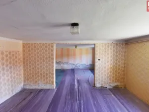 Prodej rodinného domu, Přemyslovice, 373 m2