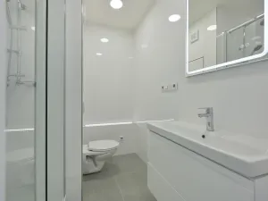 Prodej bytu 2+1, Ostrava - Výškovice, Šeříková, 44 m2