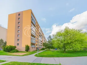 Pronájem bytu 1+kk, Praha - Chodov, Markušova, 31 m2