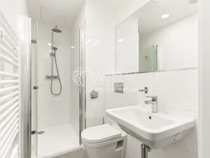 Pronájem bytu 2+kk, Praha - Vinohrady, Perucká, 41 m2