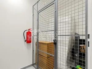 Pronájem bytu 2+kk, Praha - Vinohrady, Perucká, 41 m2