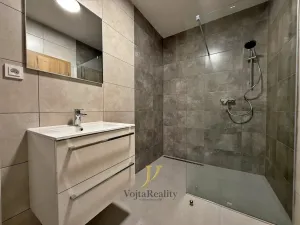 Pronájem bytu 1+kk, Olomouc, Janského, 52 m2