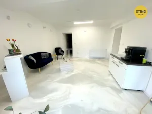 Pronájem obchodního prostoru, Opava - Předměstí, Pekařská, 48 m2