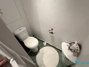 Pronájem bytu 1+1, Frýdek-Místek, Ostravská, 32 m2