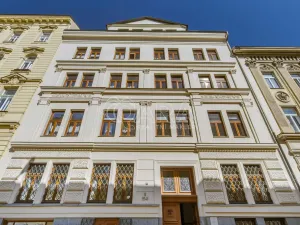Pronájem bytu 5+kk, Praha - Nové Město, Kateřinská, 184 m2