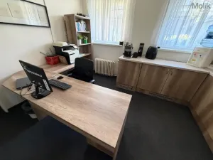 Pronájem kanceláře, Most, Růžová, 167 m2