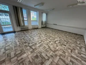 Pronájem kanceláře, Most, Růžová, 84 m2