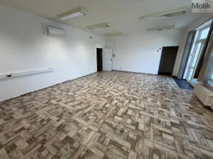 Pronájem kanceláře, Most, Růžová, 84 m2