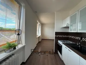 Pronájem bytu 2+1, Ostrava, Krakovská, 50 m2