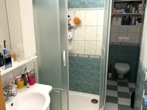Prodej bytu 2+1, Třebíč - Nové Dvory, Obránců míru, 57 m2