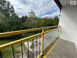 Pronájem bytu 3+1, Čenkov, 88 m2