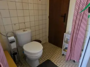 Prodej bytu 2+1, Planá, Tylova, 60 m2