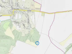 Prodej lesa, Silůvky, 697 m2
