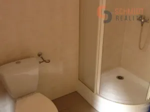Pronájem obchodního prostoru, Hustopeče, Brněnská, 80 m2