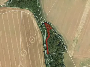 Prodej pozemku, Lipová, 927 m2