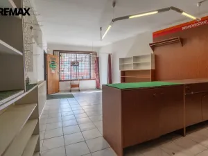 Prodej rodinného domu, Třebíč - Stařečka, Sucheniova, 200 m2