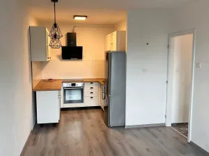 Pronájem bytu 1+1, Litvínov - Hamr, Přátelství, 39 m2