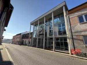 Pronájem komerční nemovitosti, Světlá nad Sázavou, Lánecká, 250 m2