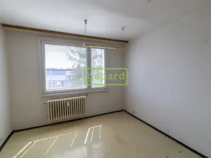 Prodej bytu 1+1, Nový Bor, Palackého, 35 m2