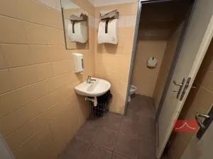 Pronájem komerční nemovitosti, Světlá nad Sázavou, Lánecká, 250 m2