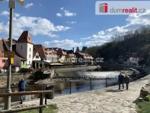 Prodej ubytování, Český Krumlov - Plešivec, Plešivecká, 930 m2